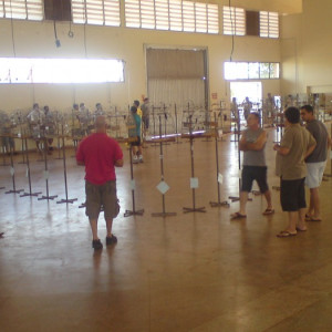 RODA BICUDO DOURADOS