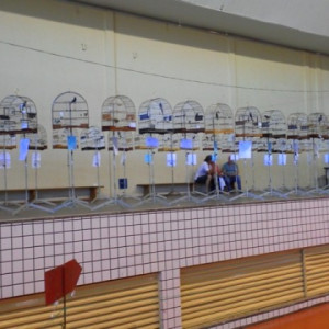 TORNEIO MARINGA 2012