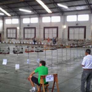 TORNEIO PARANAVAÍ