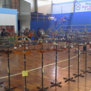 TORNEIO COXIM MS-INTEGRADO 2013