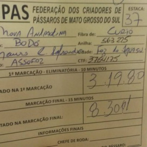 ASSOFOZ