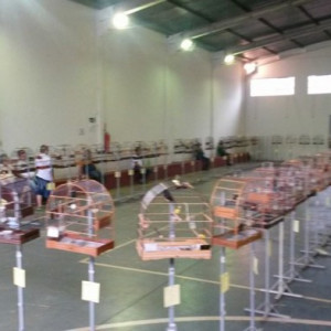 FOTOS TORNEIO CAMPO GRANDE