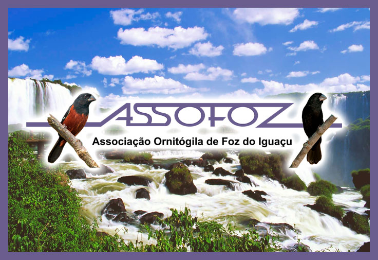 ASSOFOZ